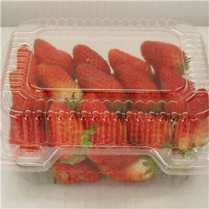 食品吸塑(sù)包裝應用